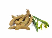 YOUNG THAI TAMARIND