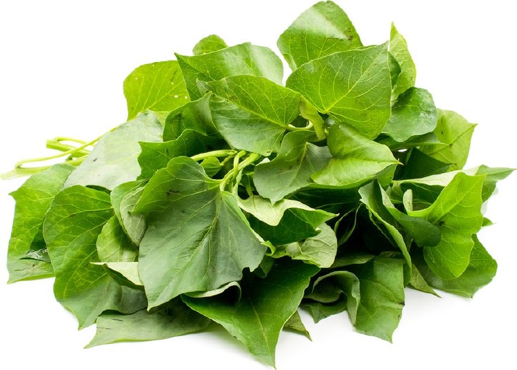 YAM LEAVES