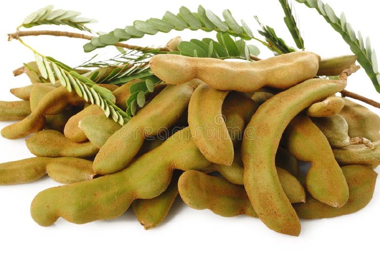 YOUNG TAMARIND FRUIT