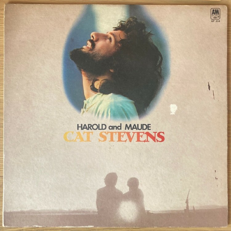 Stevens, Cat