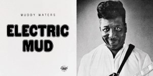 Muddy Waters