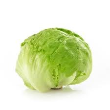 Lechuga Bola |  Iceberg Lettuce