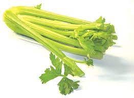 Celery | Apio