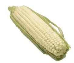 White Corn | Elote Blanco