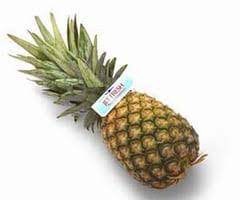 Pineapple | Pina