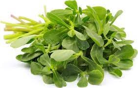 Verdolaga | Purslane