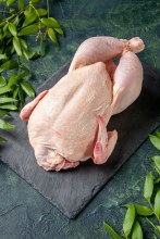 Cornish Hen | Codorniz