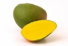 XL Mango | Mango Extra Large