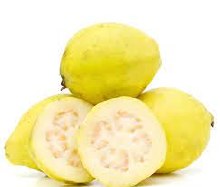 Yellow Guava | Guayaba Amarilla
