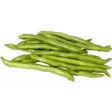 Green Bean | Ejote Verde