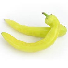 Chile Hungaro