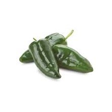 Chile Pasilla