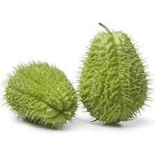 Chayote Espinado