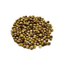 Cilantro Bolita, 1 Oz.