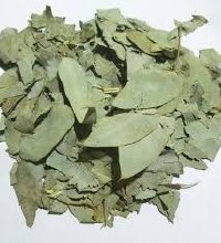 Eucalipto, 1/4 Oz.