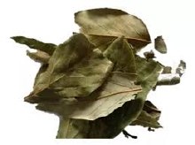 Hojas de Aguacate, 1/4 Oz.