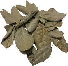 Hoja de Boldo, 1/4 Oz.