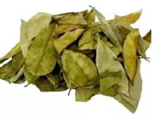 Guanabana Hoja, 1/4 Oz.