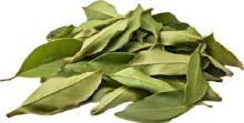Hoja de Laurel, 1/4 Oz.