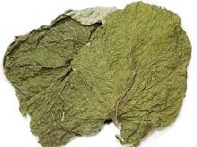 Hoja Santa, 1/4 Oz.