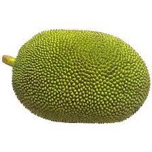 Jackfruit