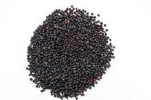 Moztaza Negra, 1.5 Oz.