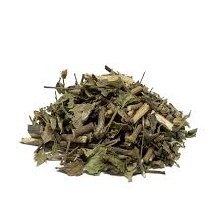 Prodigiosa, 1/4 Oz.