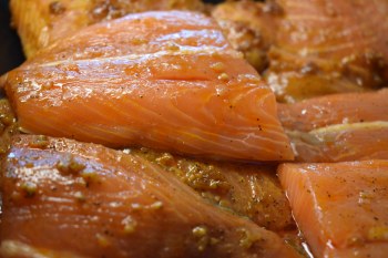 Marinated Salmon