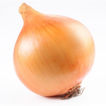 Onion - Yellow