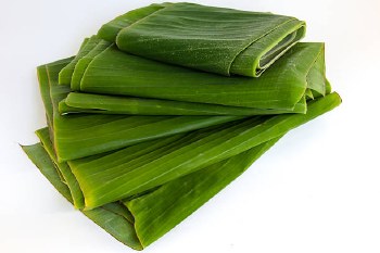 Hoja De Platano Fresca