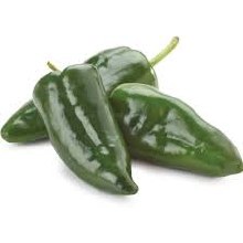 Chile Pasilla