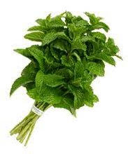 Yerbabuena/Mint
