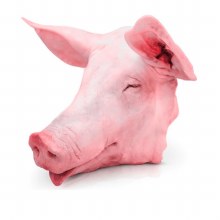 Cabeza De Puerco