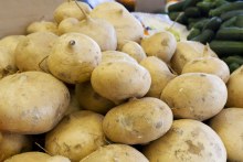 Old Crob Jicama Kimberly