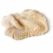 Menudo Honeycomb