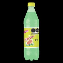 Pepsi Penafiel Toronja 600 Ml