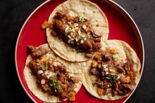 Taco Campecho