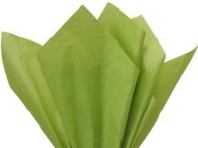Tissue Wrap Green 10ct