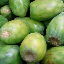 Tuna Verde