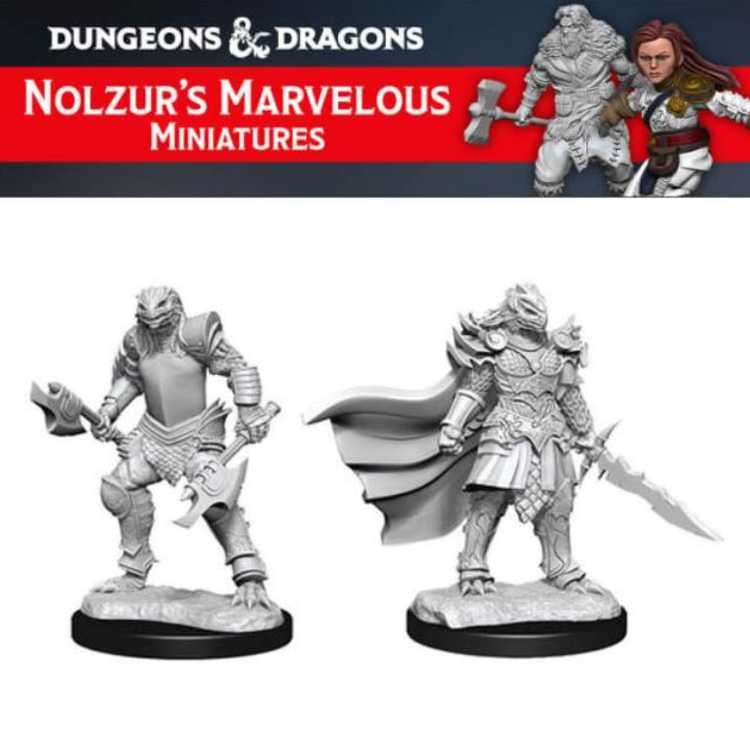Dragonborn Fighter Female (2ct)
