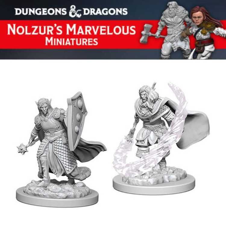 Elf Male Cleric (2ct)