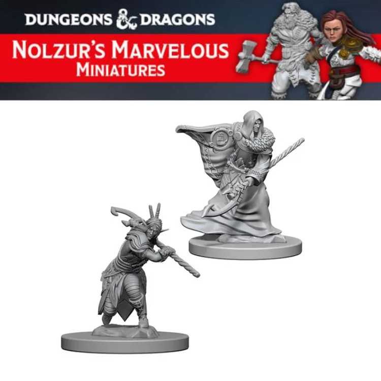 Elf Male Druid (2ct)