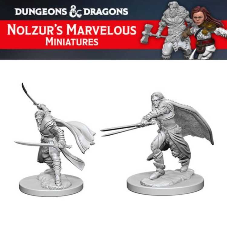 Elf Male Ranger (2ct)