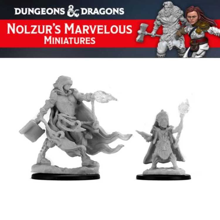 Elf Male Wizard (2ct)