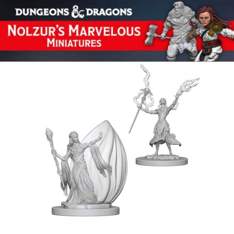 Elf Female Wizard (2ct)