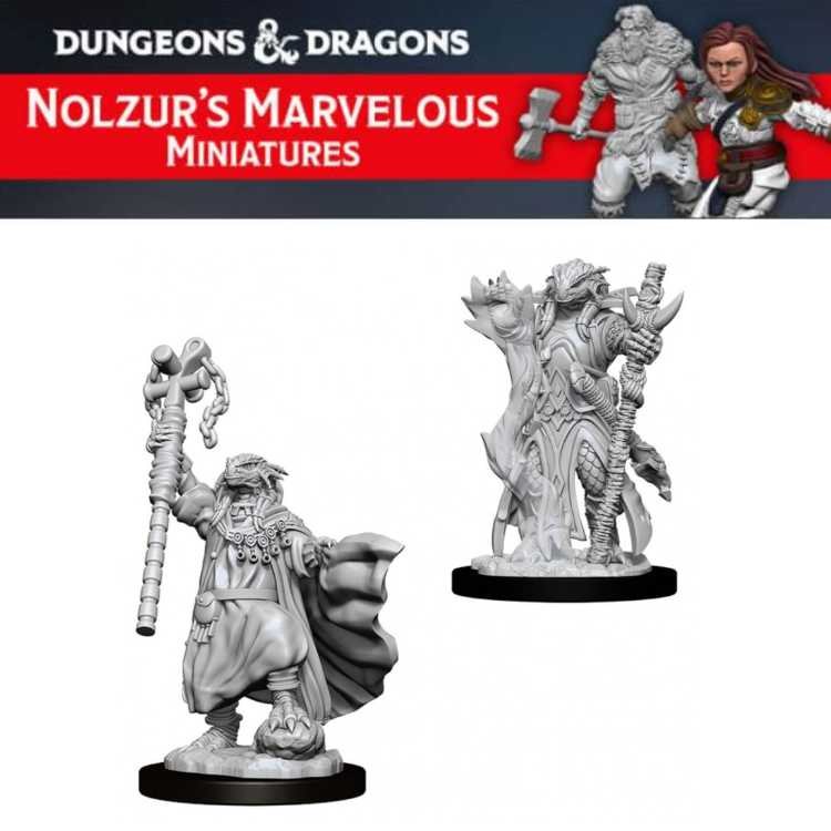 Female Dragonborn Sorcerer (2ct)