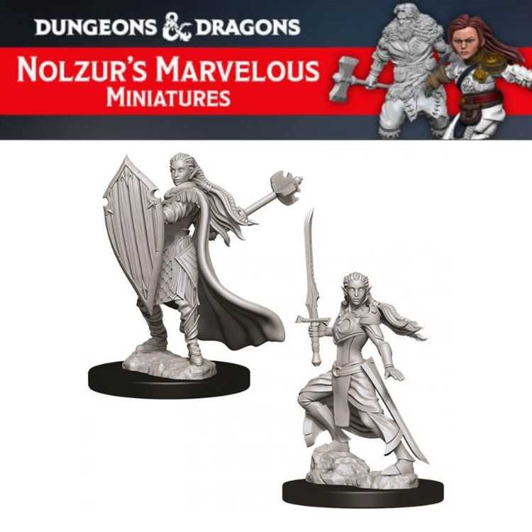 Female Elf Paladin (2ct)