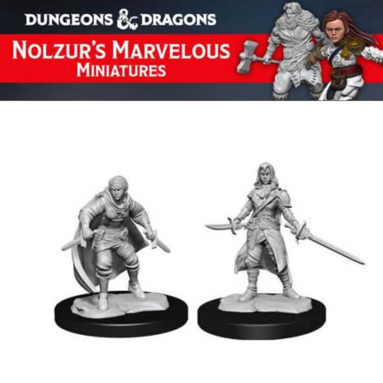 Female Half-Elf Rogue (2ct)