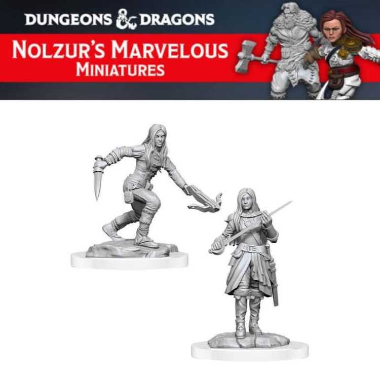 Female Half-Elf Rouge (2ct)