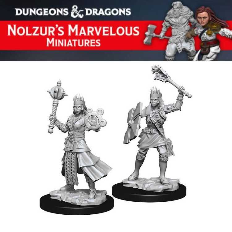 Female Human Cleric (2ct)